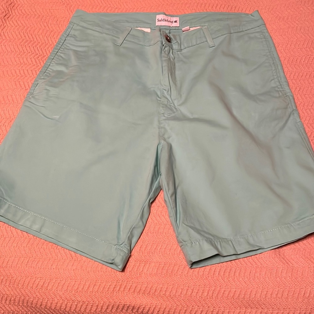 Aqua/Turquoise men’s flat front shorts